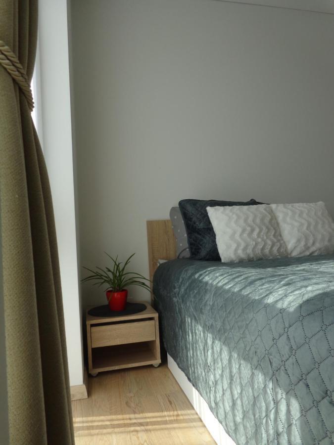 Elzbietos Centro Apartamentai Vilnius Bagian luar foto